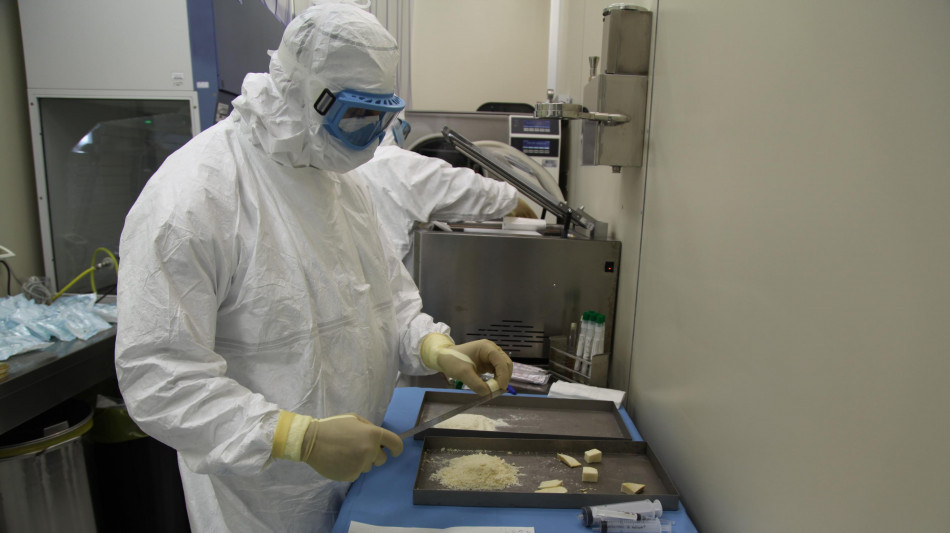 Identificato potenziale bersaglio terapeutico per tumore del colon-retto