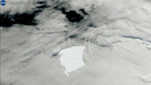 Un fragment de 19 km se d&eacute;tache du plus grand iceberg du monde