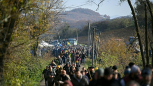 Dermatose: extension de la vaccination en Occitanie, sur fond de col&egrave;re agricole