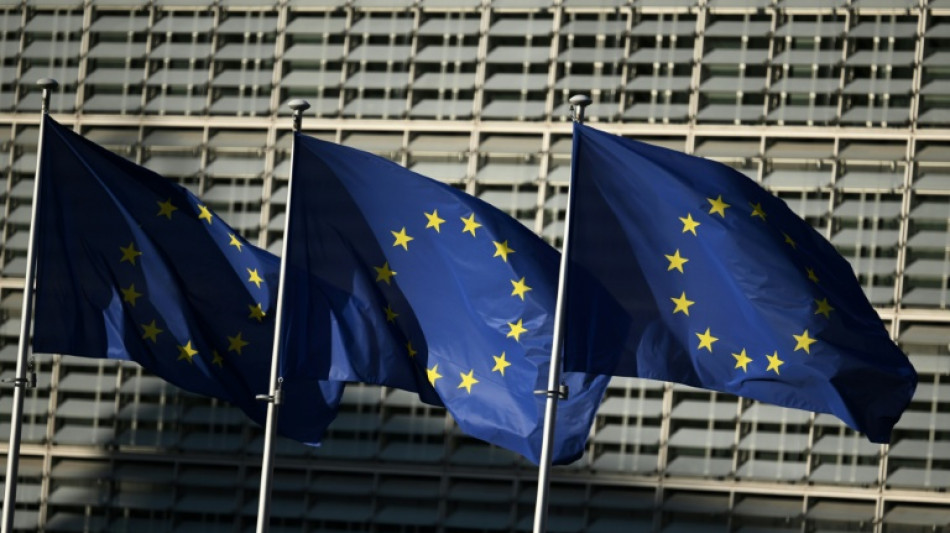 Perquisitions &agrave; la Commission europ&eacute;enne dans une enqu&ecirc;te sur la vente d'actifs immobiliers