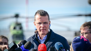 Rumäniens Verteidigungsminister tritt nach "Fehler" im Lebenslauf zurück