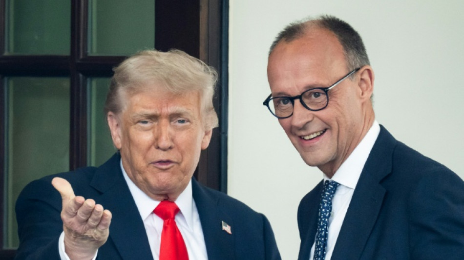 Merz am Wei&szlig;en Haus eingetroffen