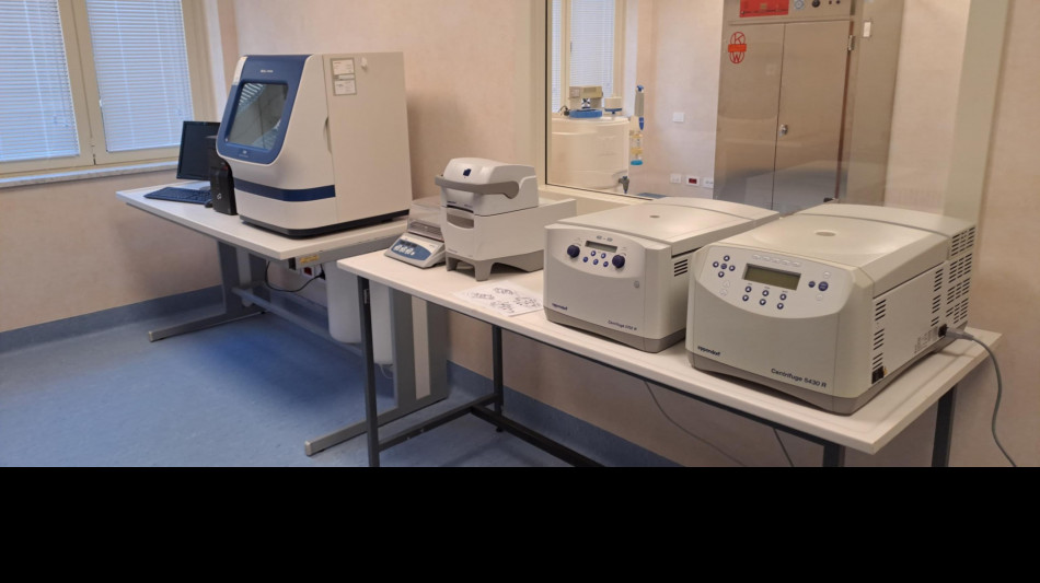 Cariche virtuali aprono la porta all'elettronica ultrarapida