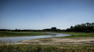 S&eacute;cheresse: un l&eacute;ger mieux en ao&ucirc;t mais l'inqui&eacute;tude demeure