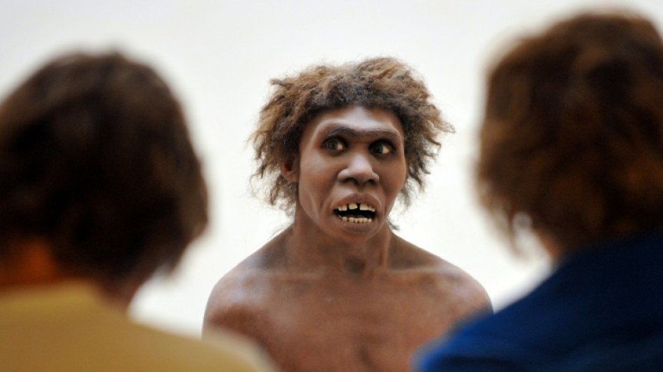 Homo erectus sabia se adaptar &agrave;s condi&ccedil;&otilde;es des&eacute;rticas, revela estudo