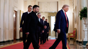 Axios, Kiev ha dato risposta al piano di pace Usa