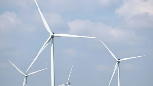 Nueve pa&iacute;ses europeos realizan una cumbre para impulsar la producci&oacute;n de energ&iacute;a e&oacute;lica