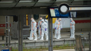 Allemagne : attaque au couteau &agrave; la gare de Hambourg, une suspecte arr&ecirc;t&eacute;e