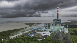 Indon&eacute;sie: le maintien d'une vaste centrale &agrave; charbon interroge sur la transition &eacute;nerg&eacute;tique