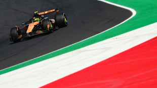 McLaren's Norris fastest at final Italian GP practice