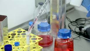 Premiati in Usa 17 ricercatori italiani per studi sui tumori