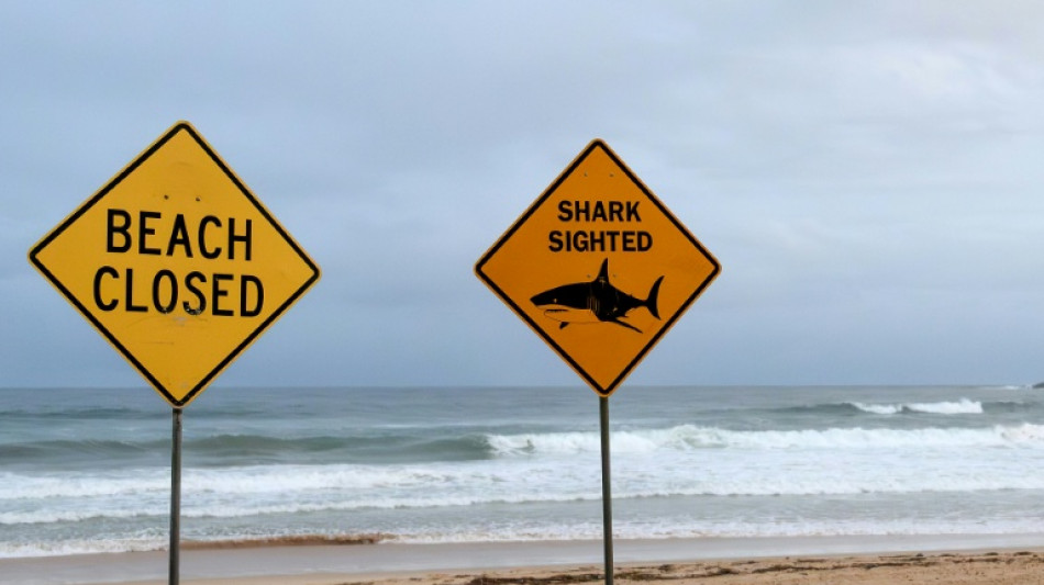 Zw&ouml;lfj&auml;hriger sechs Tage nach Hai-Attacke an Verletzungen gestorben