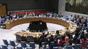 Incursion d'avions russes en Estonie: le Conseil de s&eacute;curit&eacute; de l'ONU se r&eacute;unit en urgence lundi