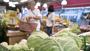 Giappone, satelliti Jaxa per prevendita dei cavoli e stabilizzazione dei prezzi