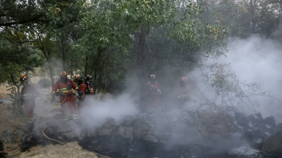 Weiter dichter Rauch durch Gro&szlig;brand nahe Madrid - L&ouml;schbedingungen &uuml;ber Nacht verbessert