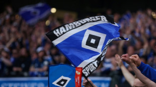 Hamburg return to Bundesliga after seven-year absence