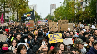 France: apr&egrave;s un samedi de manifestations calme, les autorit&eacute;s prudentes sur la suite de la col&egrave;re sociale