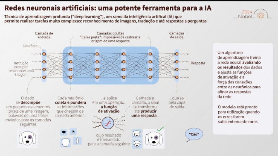 Nobel de F&iacute;sica premia avan&ccedil;os em redes neurol&oacute;gicas artificiais e modelos lingu&iacute;sticos