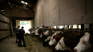 Dermatose des bovins: la ministre de l'Agriculture chez les éleveurs touchés