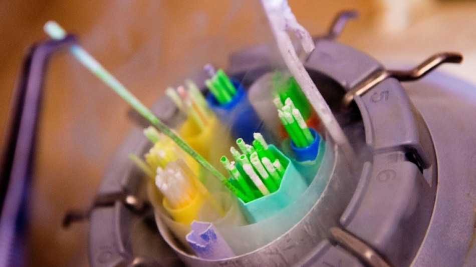 Don de gam&egrave;tes: 170 demandes d'acc&egrave;s aux origines effectu&eacute;es d&egrave;s le premier mois