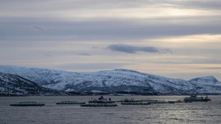 Warentest: R&auml;ucherlachs deutlich teurer - Top-Qualit&auml;t trotzdem die Ausnahme