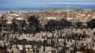 Haw&aacute;i aprueba un aumento de impuestos hoteleros para una 'tarifa verde' contra el cambio clim&aacute;tico