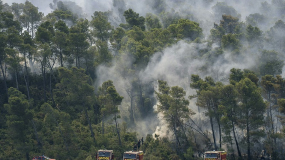 &Agrave; Saint-Laurent-de-la-Cabrerisse, le d&eacute;sespoir des vignerons sinistr&eacute;s par le feu
