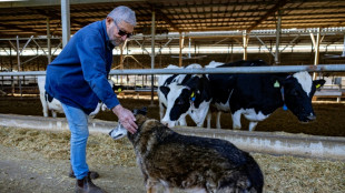 Under Hezbollah fire, people in north Israel hope for better days