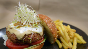 Veggie-Burger: EU-Entscheidung &uuml;ber Namensverbot vertagt