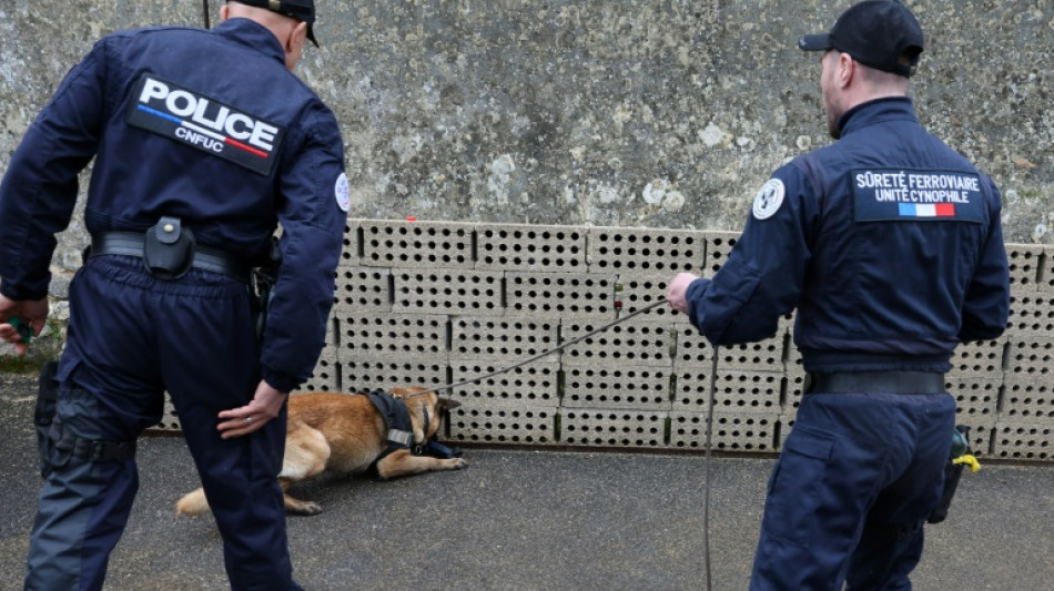 Los perros rastreadores, un recurso codiciado de cara a los Juegos Ol&iacute;mpicos