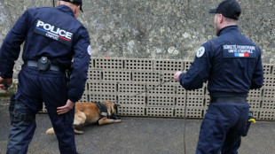 Los perros rastreadores, un recurso codiciado de cara a los Juegos Ol&iacute;mpicos