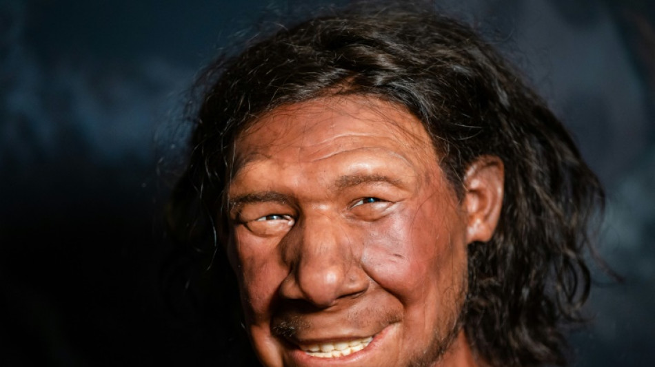Falta de varia&ccedil;&atilde;o gen&eacute;tica de neandertais pode explicar seu desaparecimento