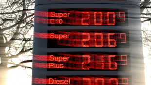 Deutschland gibt &Ouml;lreserven frei - Reiche spricht von "gewaltigem" Schritt