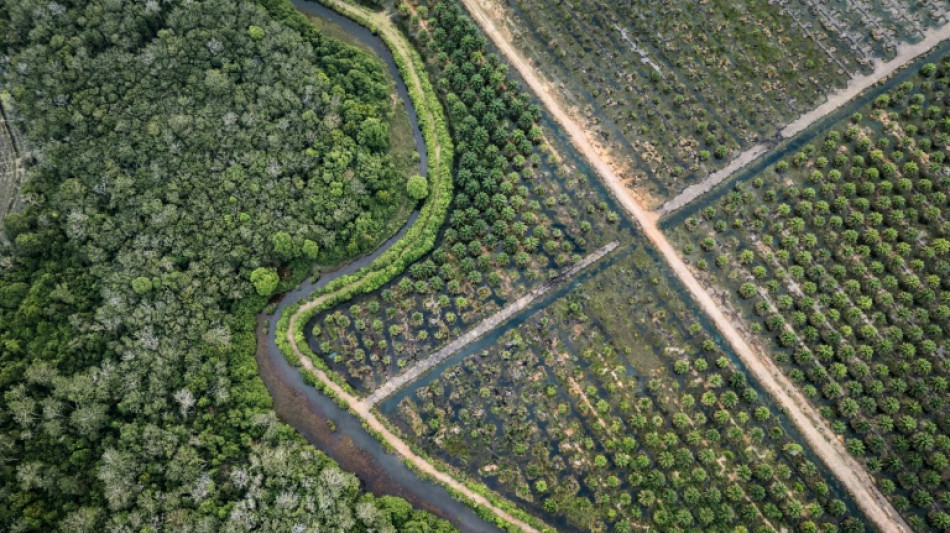 EU proposes new delay to anti-deforestation rules