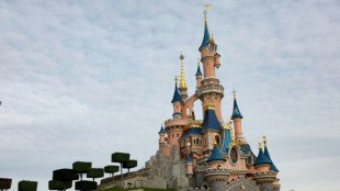 Hochzeit mit Neunj&auml;hriger in Disneyland inszeniert: Brite inhaftiert