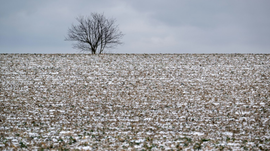 Grand froid sur une partie de la France, rallonge pour l'h&eacute;bergement d'urgence