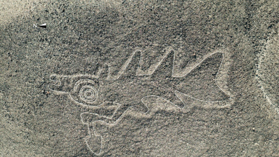 Le Pérou réduit la célèbre réserve de Nasca, inquiétude des archéologues 