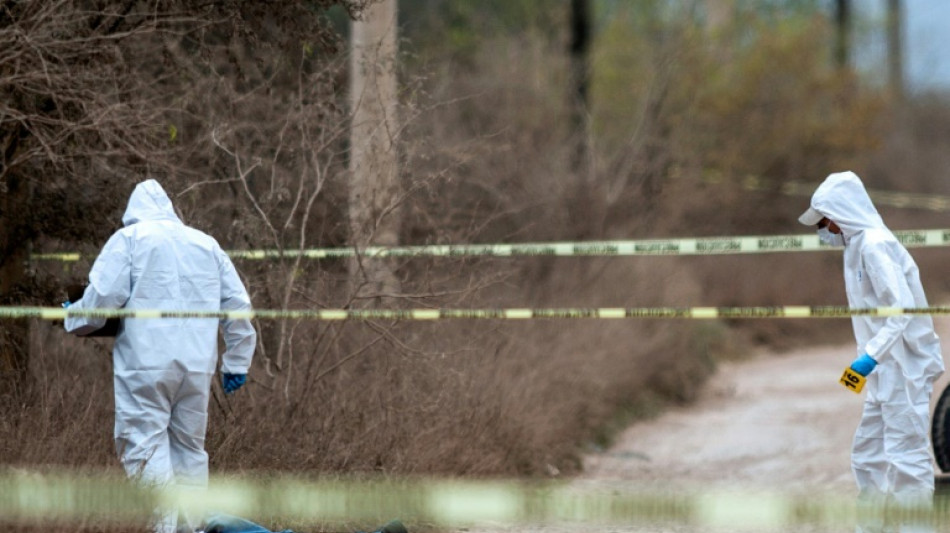 L&eacute;ger recul des homicides au Mexique, toujours min&eacute; par la violence