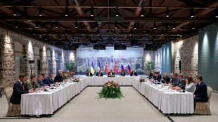 Russia, Ukraine in Istanbul for fresh peace talks