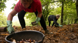 El PIB de Espa&ntilde;a crece un 0,6 % en el tercer trimestre y mantiene su dinamismo
