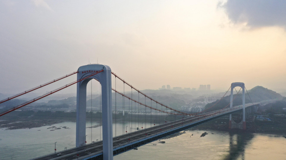 Da poemi cinesi ricostruito il declino dei 'delfini sorridenti'