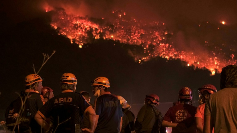 LA wildfires push insurance losses to highest since 2011: Munich Re