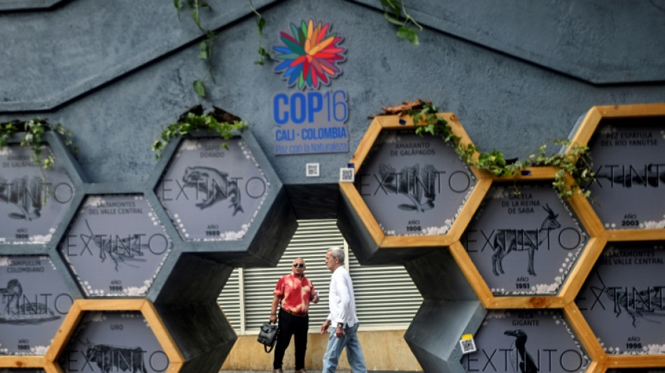 COP16 Biodiversit&eacute;: les politiques entrent en sc&egrave;ne &agrave; Cali pour trancher les d&eacute;bats