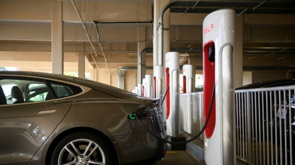 La transici&oacute;n hacia los veh&iacute;culos el&eacute;ctricos, una carrera sembrada de obst&aacute;culos