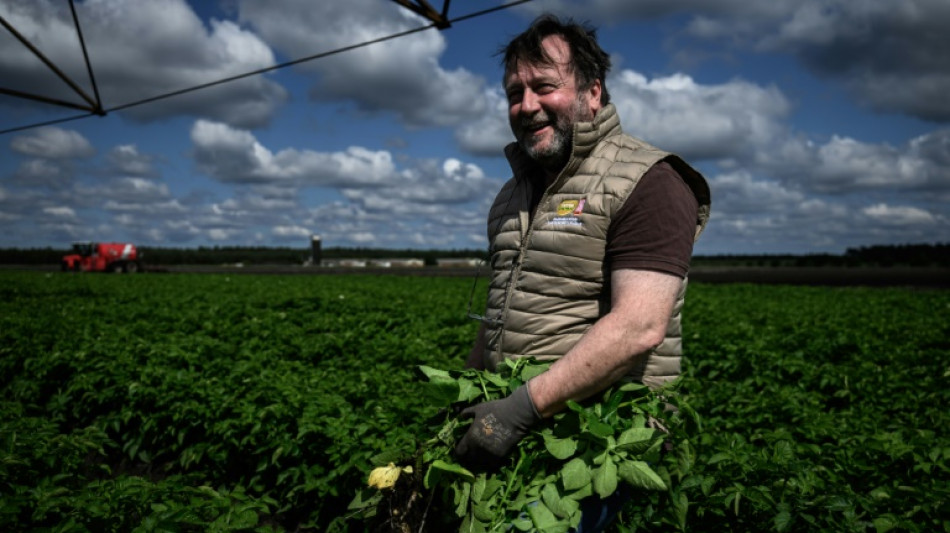 Dans les Landes de Gasgogne, quand la pomme de terre cultive son environnement