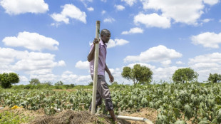 Can cash handouts replace aid? Kenya offers some answers