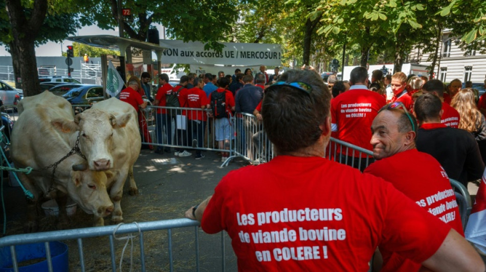 L'UE met l'accord avec le Mercosur sur la table, suspense &agrave; Paris