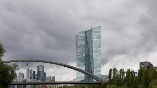 Almaviva e Fabrick nella "sfida strategica" per l'euro digitale