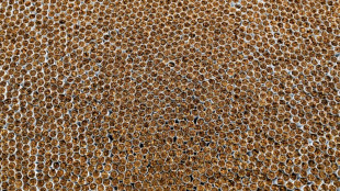 Zoll beschlagnahmt weit &uuml;ber f&uuml;nf Millionen unversteuerte Zigaretten in Paketen