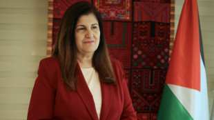 Reconhecimento da Palestina enviar&aacute; 'mensagem muito clara' a Israel, diz diplomacia palestina